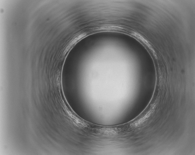 X0000059041049200510171843