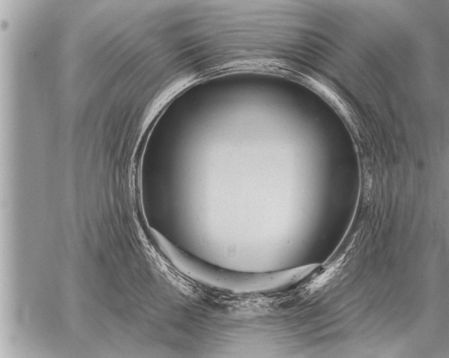 X0000059041050200510171843