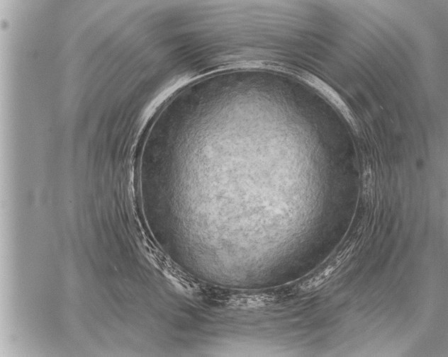 X0000059041051200510171843