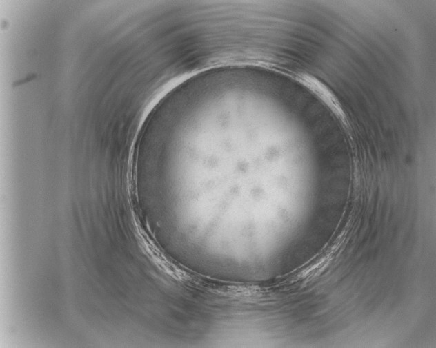 X0000059041052200510171844