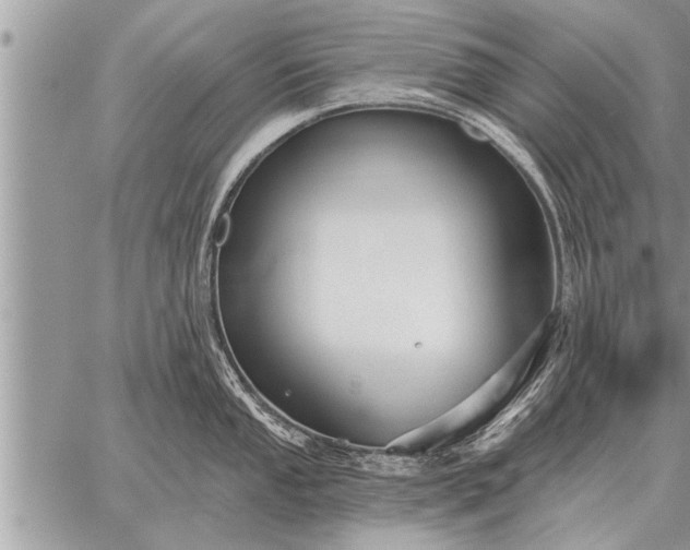 X0000059041053200510171844