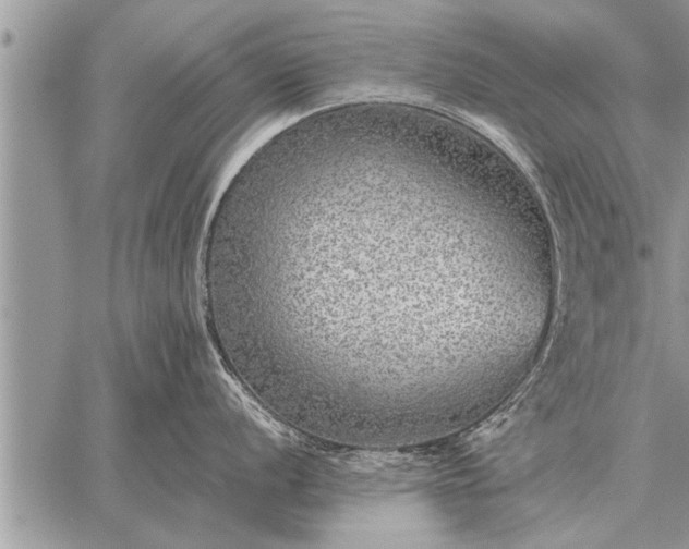 X0000059041056200510171844