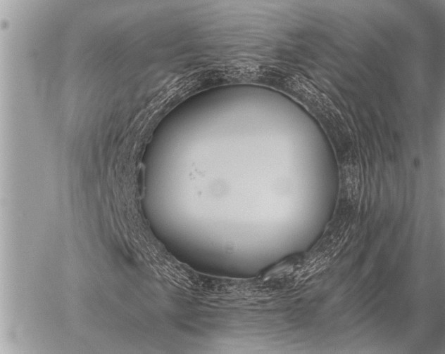 X0000059041057200510171843