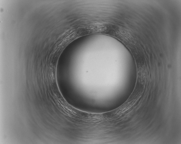 X0000059041058200510171843