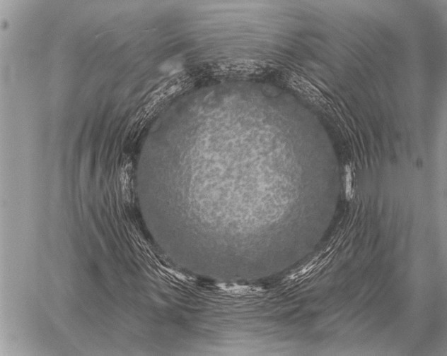 X0000059041059200510171843