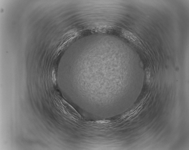 X0000059041060200510171843