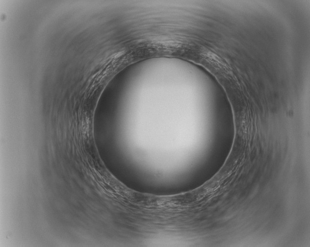 X0000059041061200510171843