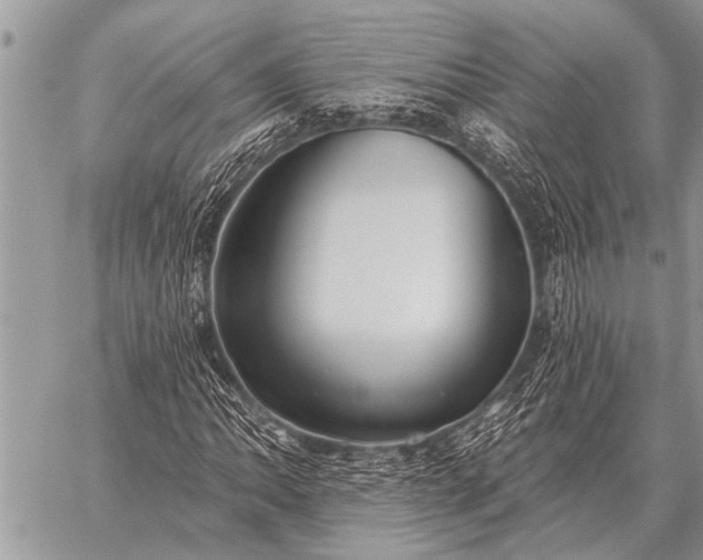 X0000059041062200510171843