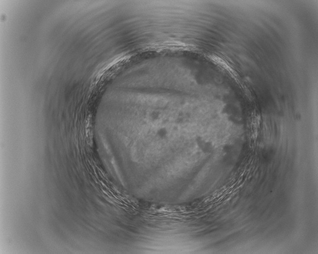 X0000059041063200510171843