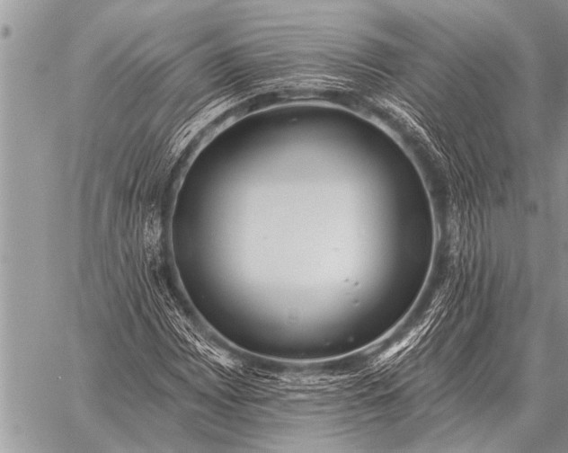 X0000059041065200510171843