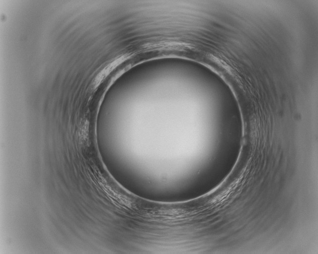 X0000059041066200510171843