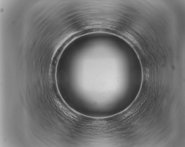 X0000059041068200510171843