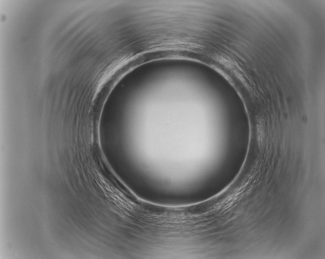 X0000059041069200510171843