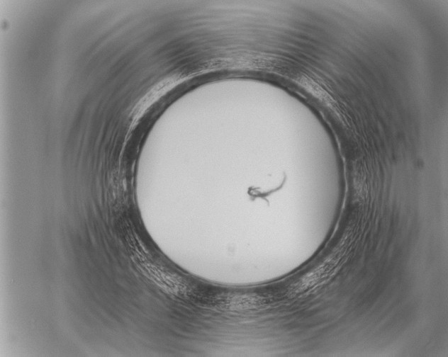 X0000059041070200510171843