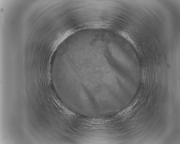 X0000059041071200510171843