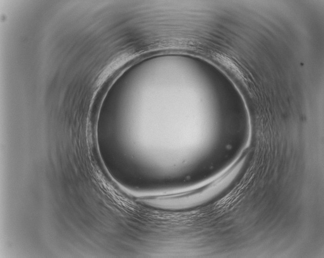 X0000059041072200510171843