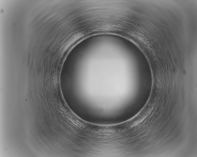 X0000059041073200510171843