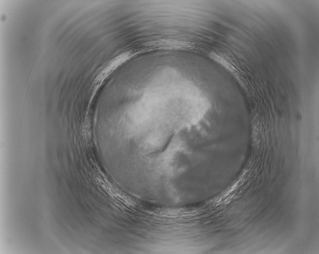 X0000059041074200510171843