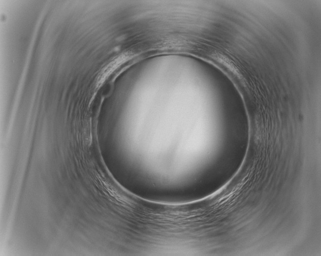 X0000059041075200510171843