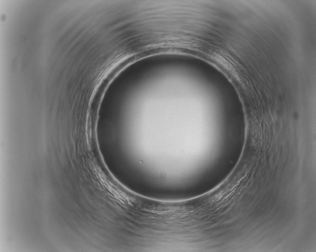 X0000059041076200510171842