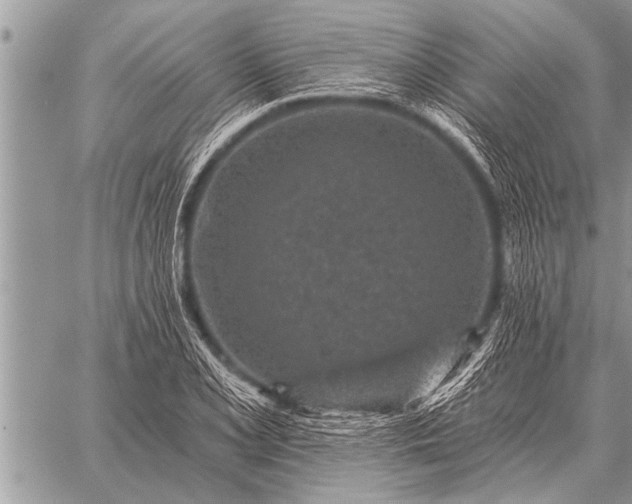 X0000059041077200510171842