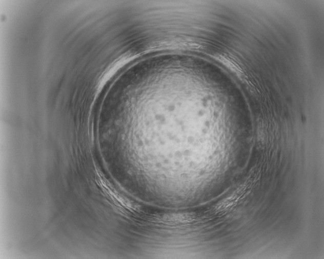 X0000059041078200510171842