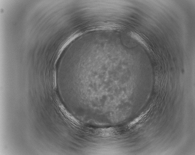 X0000059041079200510171842