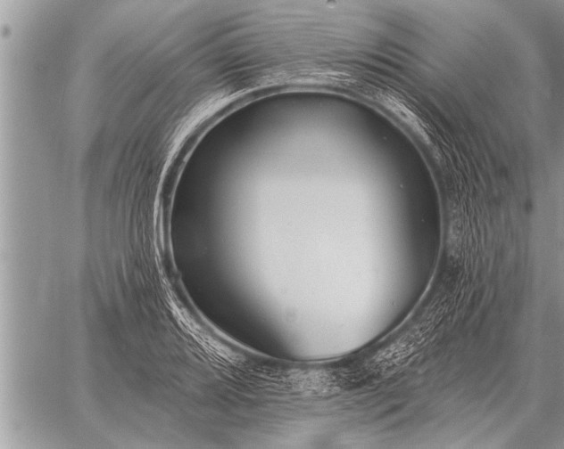 X0000059041080200510171842