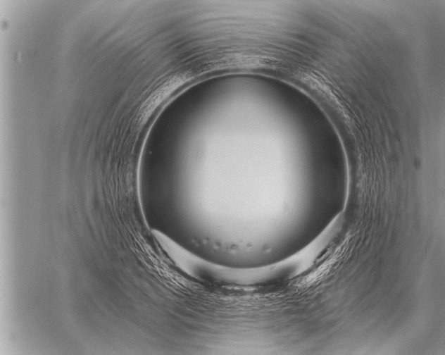 X0000059041081200510171842