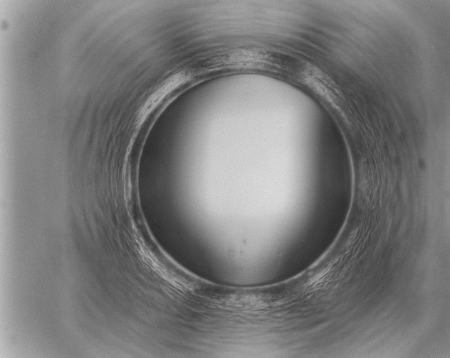 X0000059041082200510171842