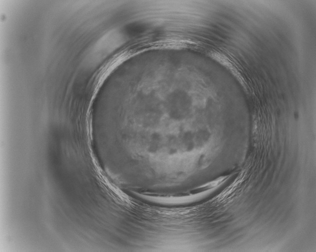 X0000059041083200510171842