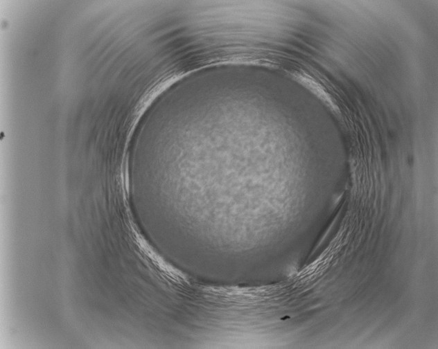 X0000059041084200510171842