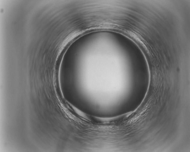 X0000059041085200510171842