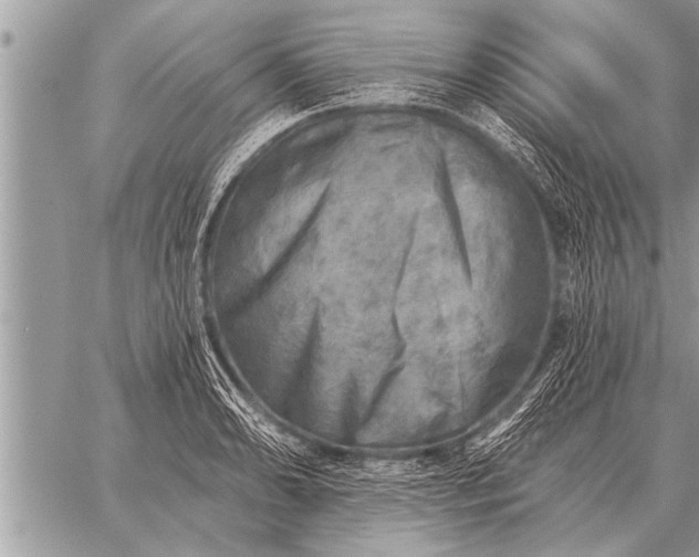 X0000059041086200510171842