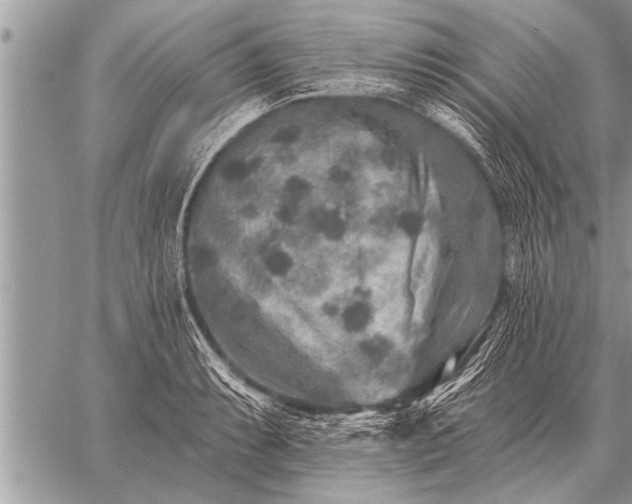 X0000059041087200510171842