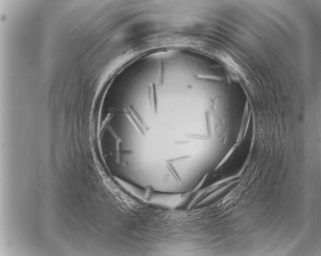 X0000059041088200510171842