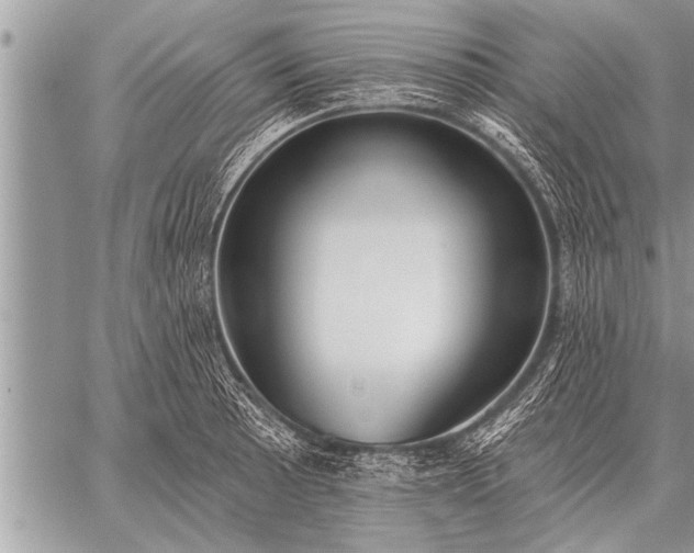 X0000059041089200510171842