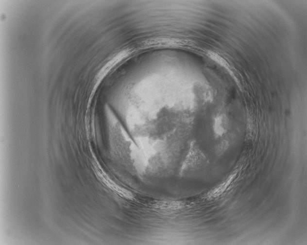 X0000059041090200510171842