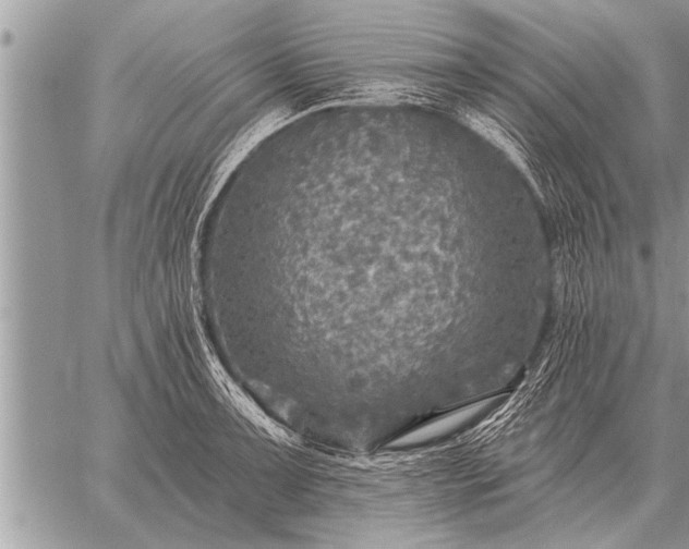 X0000059041091200510171842