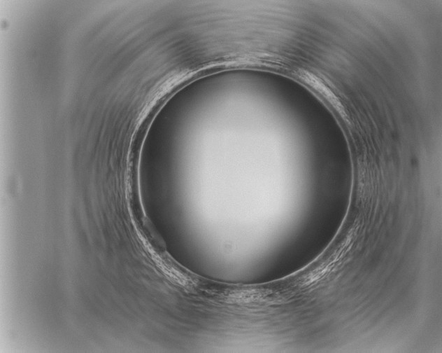 X0000059041093200510171842