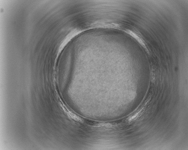 X0000059041094200510171842