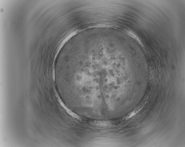 X0000059041095200510171842