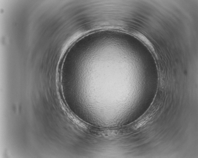 X0000059041096200510171842