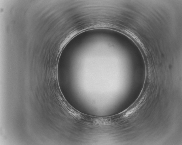 X0000059041097200510171842