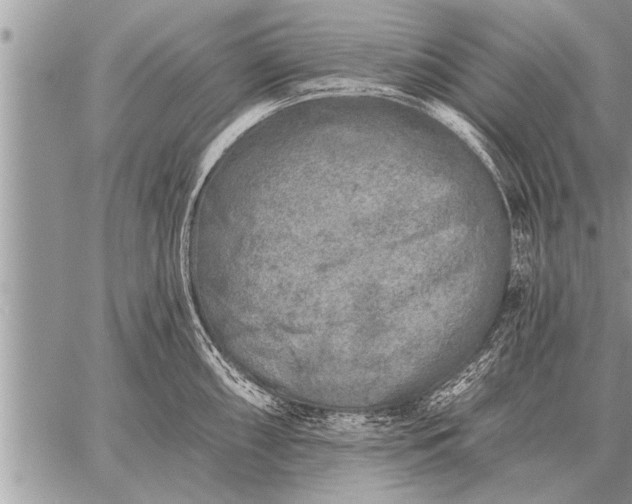 X0000059041098200510171842