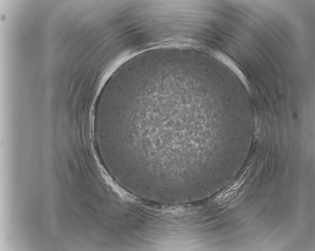 X0000059041099200510171842