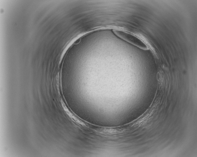 X0000059041100200510171842