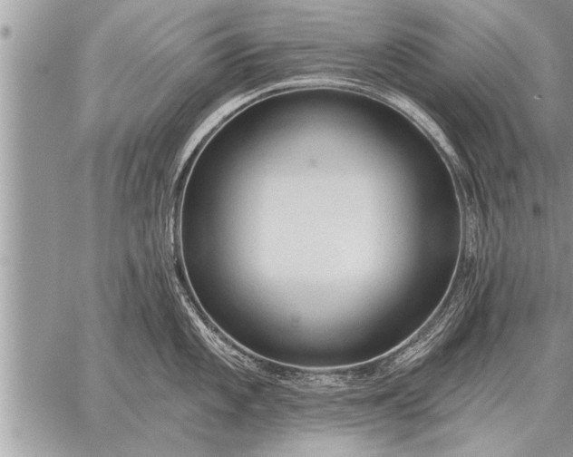 X0000059041101200510171842