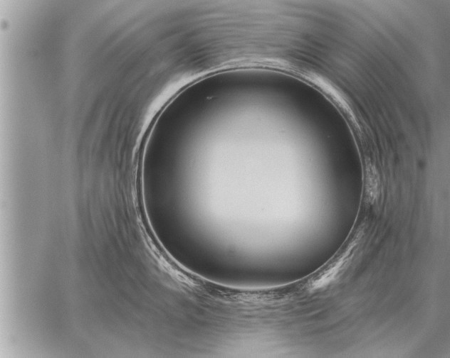 X0000059041102200510171842