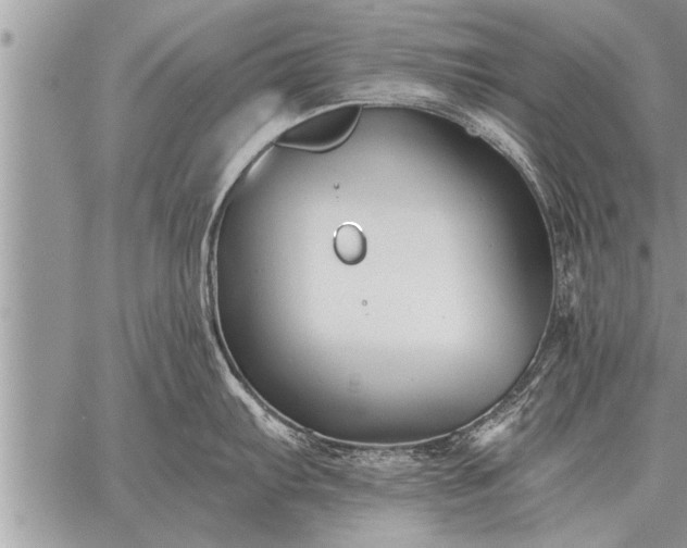 X0000059041103200510171842